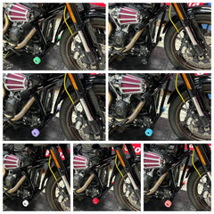 Performance Engine Guard Crash Bar Rear Passenger Frame Slider Peg For Harley Low Rider ST 117 FXLRST