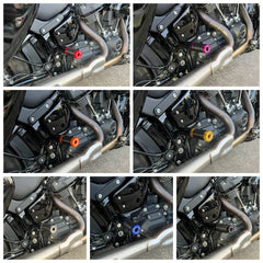 Rear Highway Engine Guard Crash Bar Passenger footpegs Carbon End For Harley Softail Street Bob Low Rider S ST Fat Bob