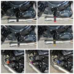 Rear Highway Engine Guard Crash Bar Passenger footpegs Carbon End For Harley Softail Street Bob Low Rider S ST Fat Bob